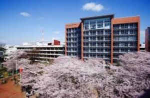 日本大学の画像